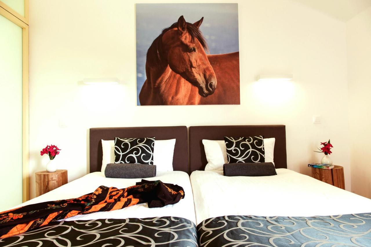 Cedros Patio Ecolodge מראה חיצוני תמונה