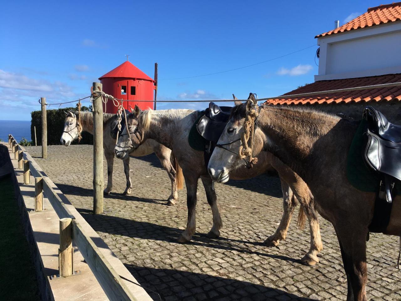 Cedros Patio Ecolodge מראה חיצוני תמונה